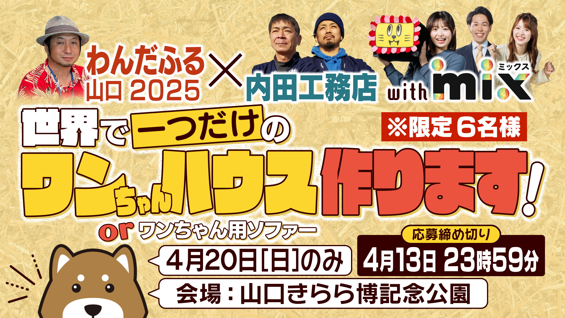 tys テレビ山口 - 250404_わんだふる山口_ワンちゃんハウス募集