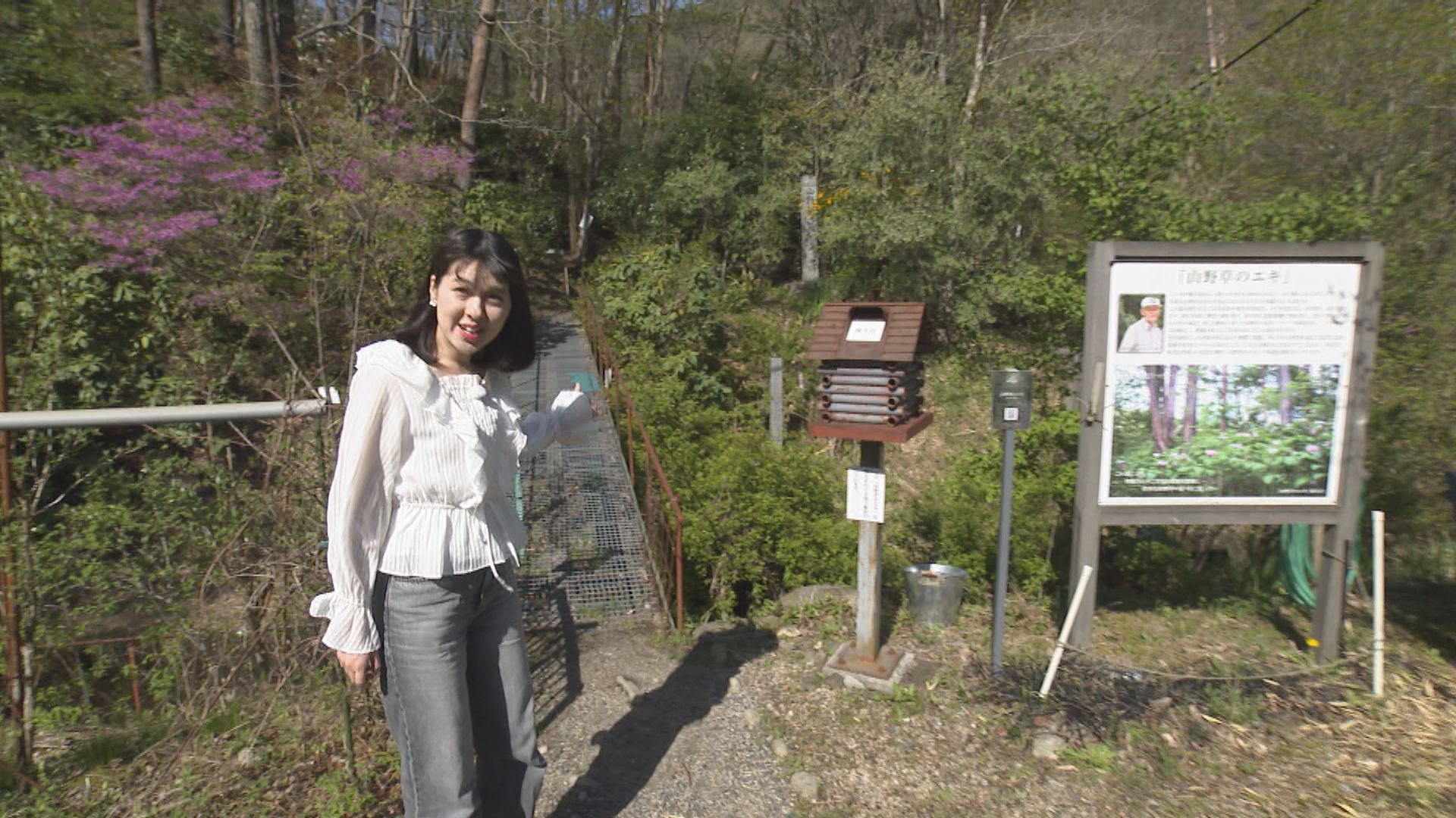 tys テレビ山口 - 250507まったりツアーズ周南市鹿野オープン