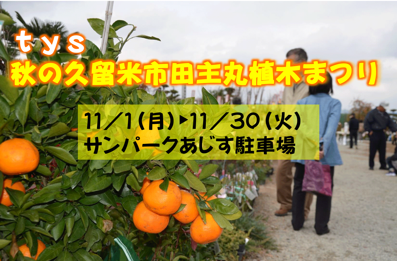 ｔｙｓ テレビ山口 ｔｙｓ秋の久留米市田主丸植木まつり