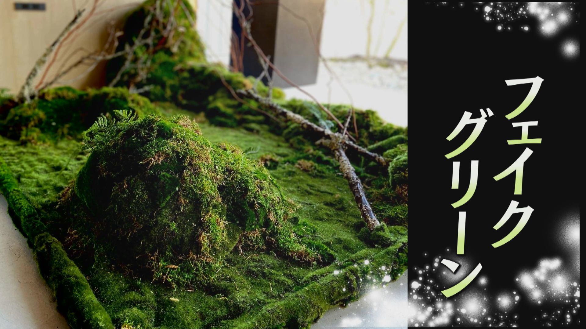 tys テレビ山口 - 211210_苔アート