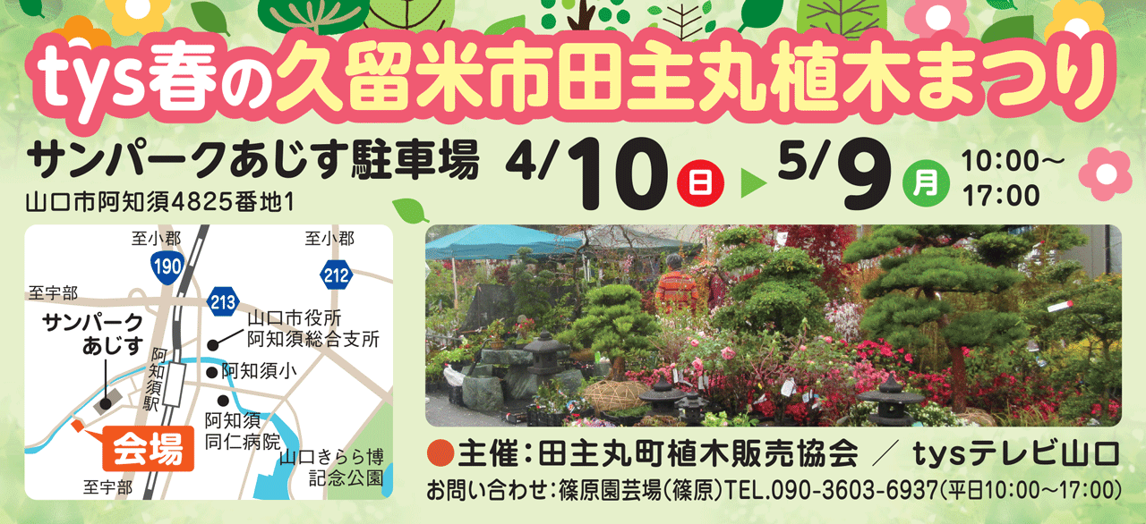 ｔｙｓ テレビ山口 2410ｔｙｓ春の久留米市田主丸植木まつり